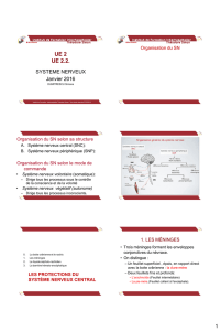 Diapositive 1