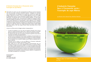 L`industrie française face à l`économie verte : l`exemple de sept filières