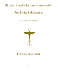 Histoire naturelle des insectes névroptères Famille des