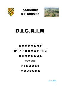 DICRIM - V4-11.2010 - PDF