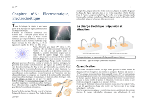 Chapitre n°6 : Electrostatique, Electrocinétique
