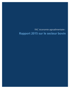 Rapport 2015 sur le secteur bovin