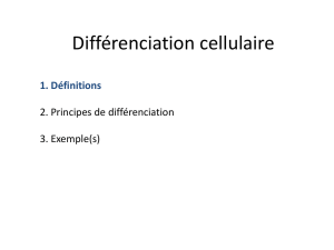 Différenciation cellulaire