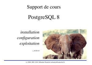 PostgreSQL - Sébastien Namèche
