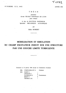 Modélisation et simulation du champ excitateur induit sur une