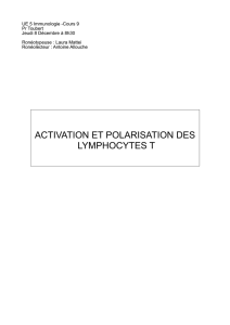 ACTIVATION ET POLARISATION DES LYMPHOCYTES T
