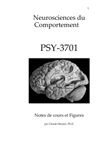 PSY-3701 - uOttawa