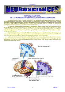 LES NEUROSCIENCES - Neur-one