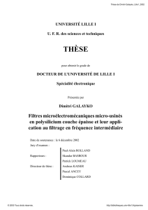 D. Galayko, Mémoire de thèse de doctorat, 2002