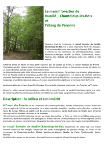 Le massif forestier de Nuaillé-Chanteloup-les-Bois