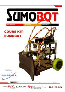 Cours sur les robots sumo