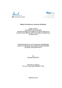 Mémoire corrigé_Gueniat_28.09.13_2