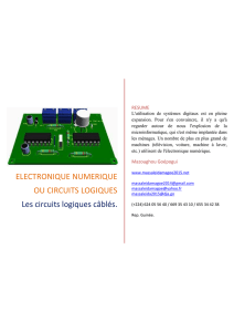 Electronique Numérique ou Circuits Logiques