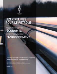 Des pipelines pour le pétrole