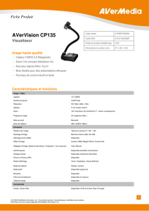 AVerVision CP135