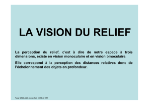 Vision du relief