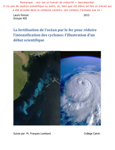 La fertilisation de l`océan par le fer pour réduire l`intensification des