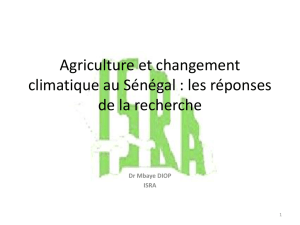 Agriculture et changement climatique au Sénégal