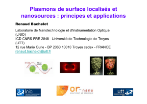 Renaud Bachelot - Institut des NanoSciences de Paris