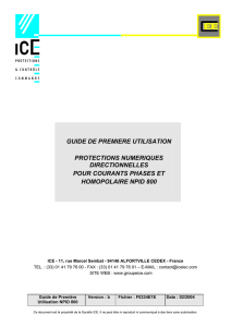 guide de premiere utilisation protections numeriques directionnelles