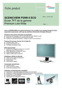 SCENICVIEW P20W-5 ECO Ecran TFT de la gamme