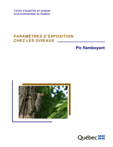 Pic flamboyant - Centre d`expertise en analyse environnementale du