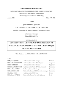 Contribution à l`étude de l`amplification de puissance en technologie