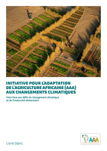 initiative pour l`adaptation de l`agriculture africaine (aaa)