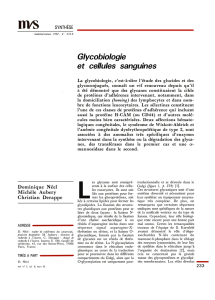 Glycobiologie et cellules sanguines - iPubli