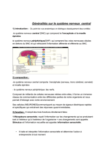 G&eacute;n&eacute;ralit&eacute;s sur le syst&egrave;me nerveux central