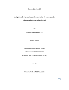 Université de Montréal La régulation de l`économie numérique au