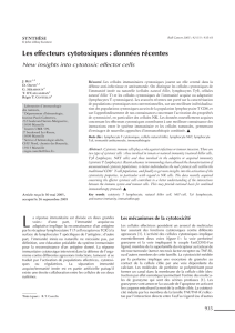 Les effecteurs cytotoxiques : données récentes (PDF