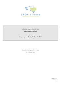 CLE du 18 décembre 2012 - Rapport Espèces