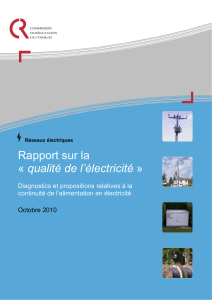 CRE - Octobre 2010 - Rapport sur la « qualité de l`électricité »