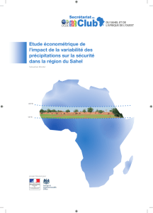 Etude économétrique de l`impact de la variabilité des