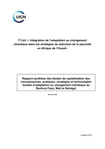 Projet « Intégration de l`adaptation au changement climatique dans