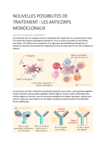 nouvelles possibilites de traitement : les anticorps monoclonaux