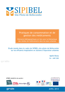 Rapport
