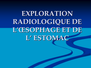 exploration radiologique de l`œsophage et de l` estomac