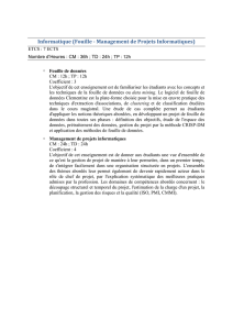 Informatique (Fouille - Management de Projets Informatiques) (7 ects)