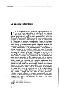 Le réseau islamique - Politique africaine