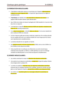 Génétique-génie génétique Dr KEBIR.S  I) HYBRIDATION