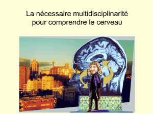 La nécessaire multidisciplinarité pour comprendre le cerveau