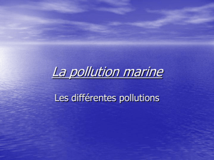 La pollution marine