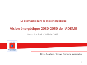Vision énergétique 2030-2050 de l`ADEME, enjeux