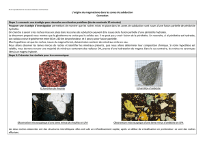 L`origine du magmatisme dans les zones de subduction Correction