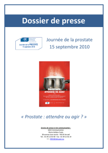 Dossier de presse 2010