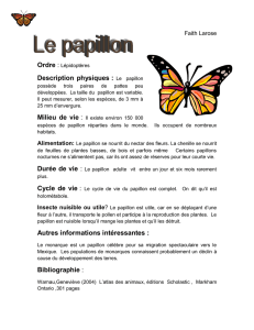 Description physiques : Le papillon Autres informations intéressantes