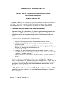 D&eacute;termination de la monnaie fonctionnelle des soci&eacute;t&eacute;s de