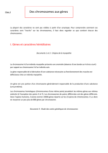 Version pdf - SVT Barcelo
